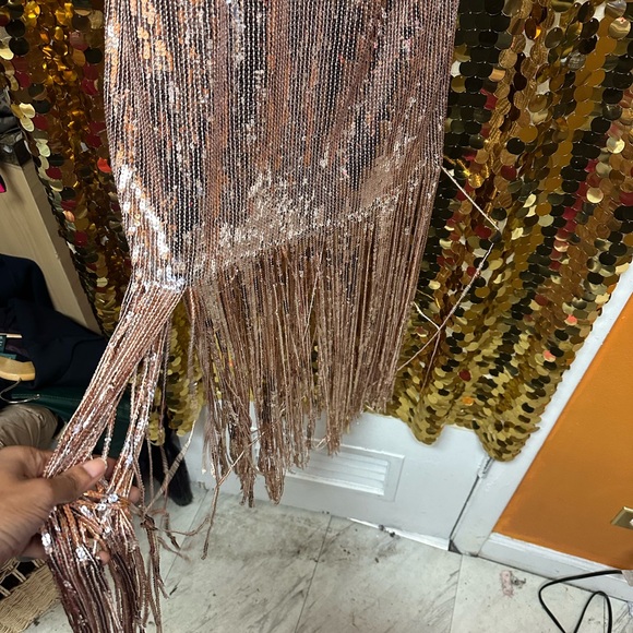 Forever 21 Metallic Sequin Fringe Dress - Picture 6 of 8